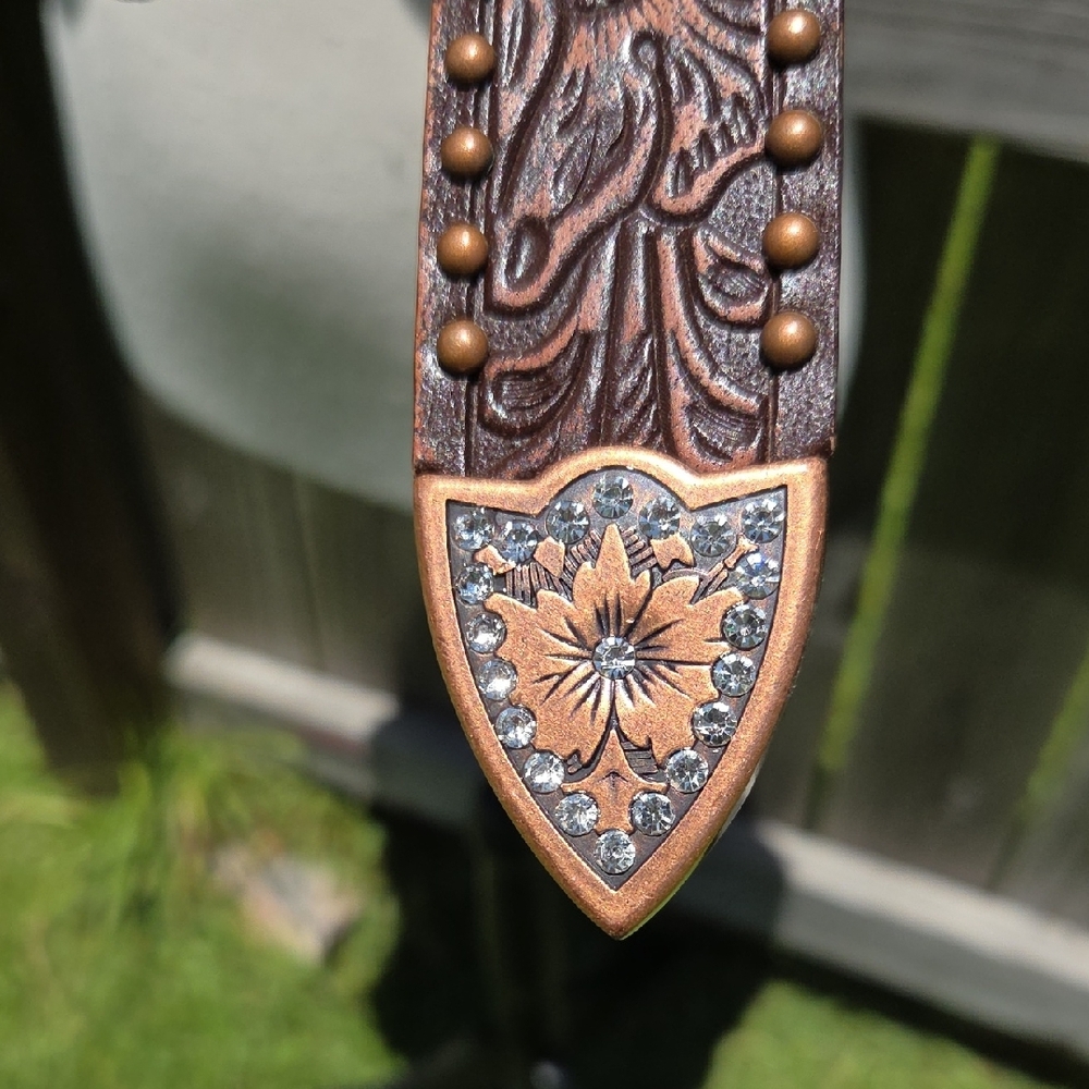 Angel Ranch Brown Embellished Women's Belt - Picture 7 of 10